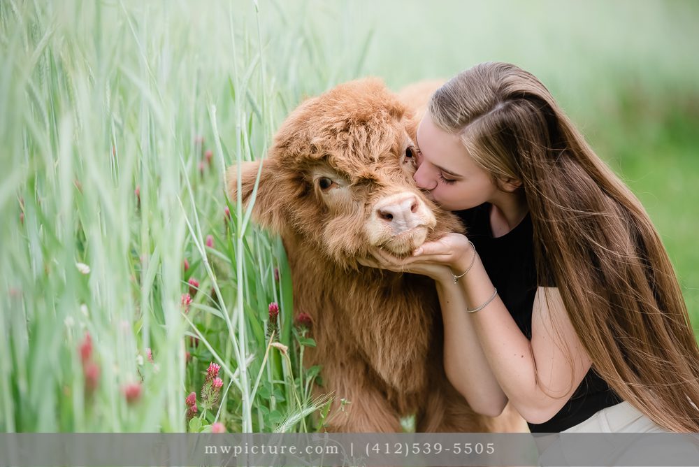 Scottish Highland Cow and a Young Woman in a Field